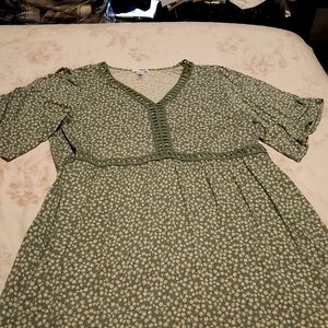 Sonoma green with daisies knee length dress.